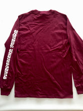 Load image into Gallery viewer, Squang Longsleeve